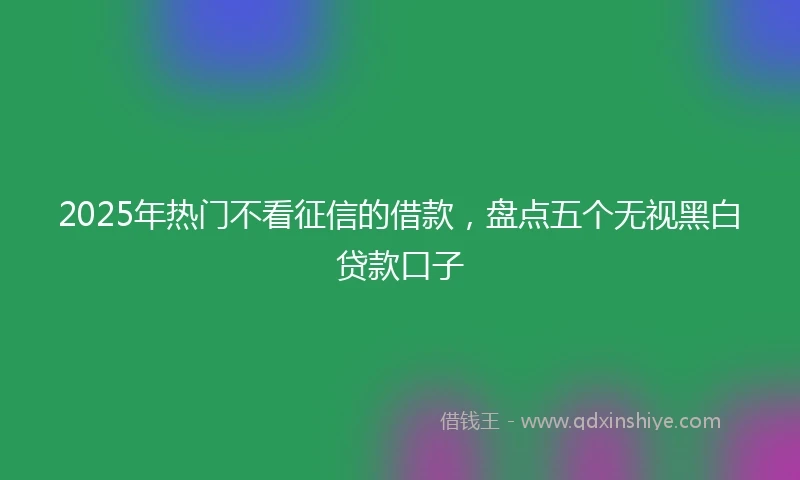 2025年热门不看征信的借款，盘点五个无视黑白贷款口子