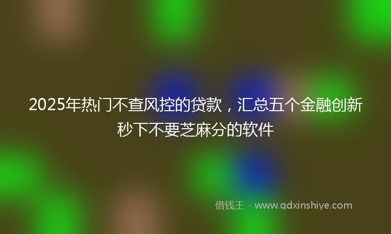 2025年热门不查风控的贷款，汇总五个金融创新秒下不要芝麻分的软件