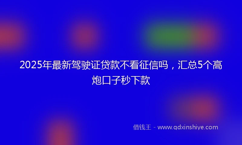 2025年最新驾驶证贷款不看征信吗，汇总5个高炮口子秒下款