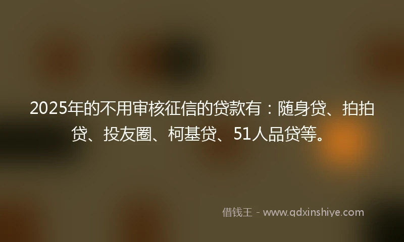 2025年的不用审核征信的贷款有：随身贷、拍拍贷、投友圈、柯基贷、51人品贷等。