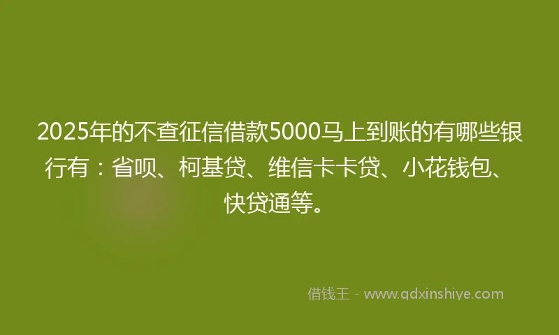 2025年的不查征信借款5000马上到账的有哪些银行有：省呗、柯基贷、维信卡卡贷、小花钱包、快贷通等。