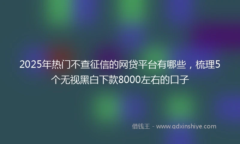 2025年热门不查征信的网贷平台有哪些，梳理5个无视黑白下款8000左右的口子