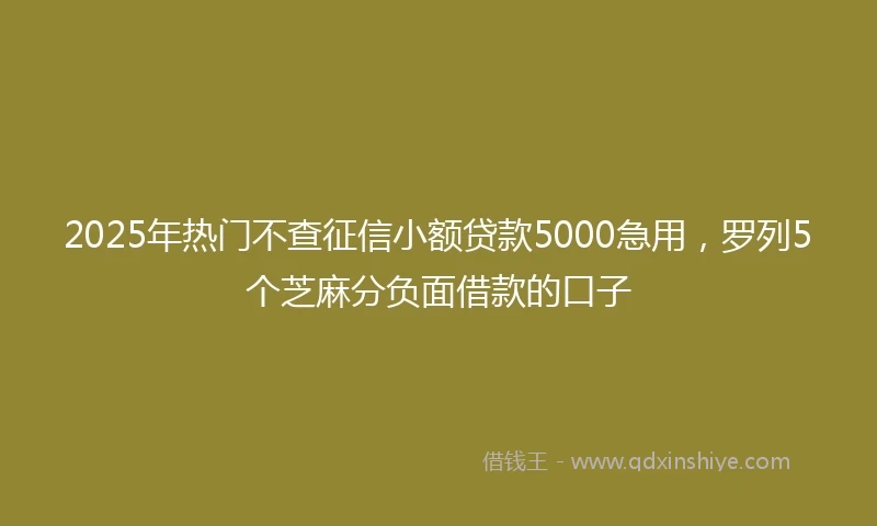 2025年热门不查征信小额贷款5000急用，罗列5个芝麻分负面借款的口子