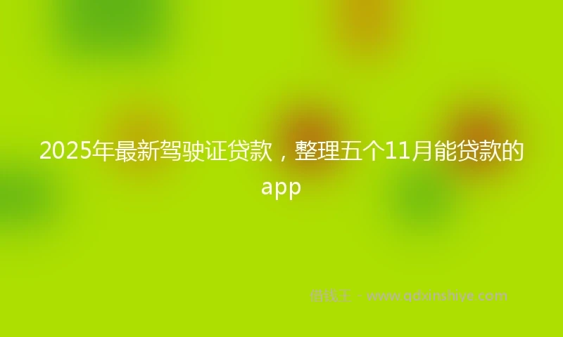 2025年最新驾驶证贷款，整理五个11月能贷款的app