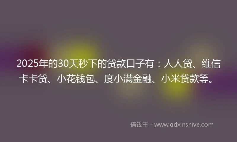 2025年的30天秒下的贷款口子有：人人贷、维信卡卡贷、小花钱包、度小满金融、小米贷款等。