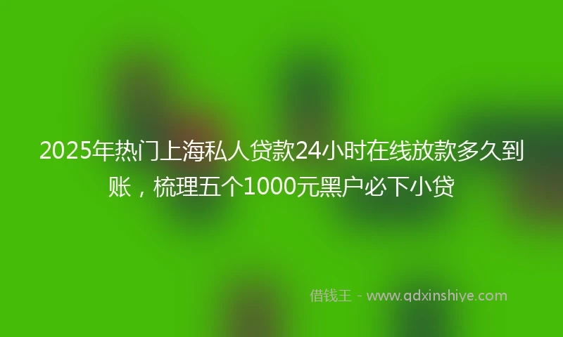 2025年热门上海私人贷款24小时在线放款多久到账，梳理五个1000元黑户必下小贷