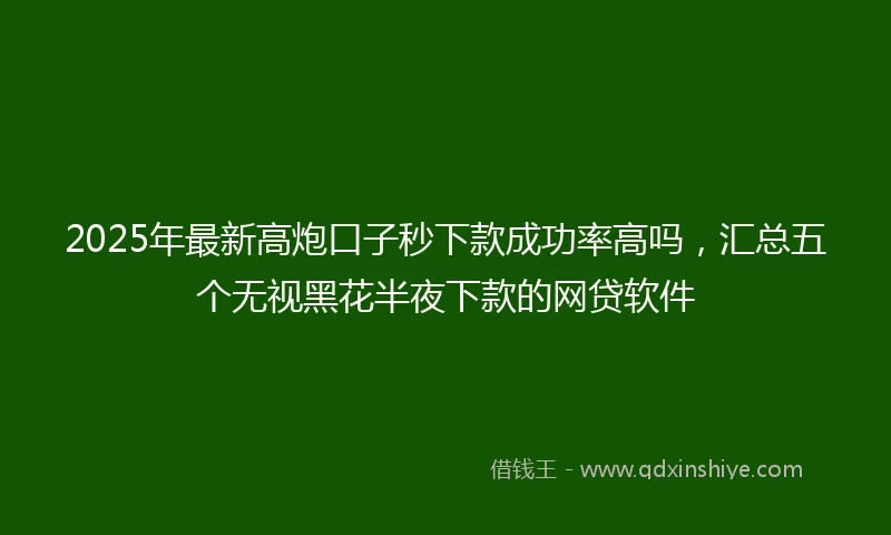 2025年最新高炮口子秒下款成功率高吗，汇总五个无视黑花半夜下款的网贷软件