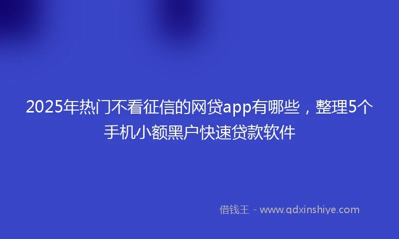 2025年热门不看征信的网贷app有哪些，整理5个手机小额黑户快速贷款软件