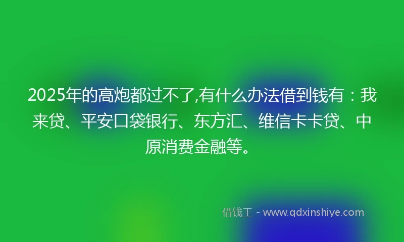 2025年的高炮都过不了,有什么办法借到钱有：我来贷、平安口袋银行、东方汇、维信卡卡贷、中原消费金融等。