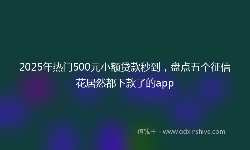 2025年热门500元小额贷款秒到，盘点五个征信花居然都下款了的app