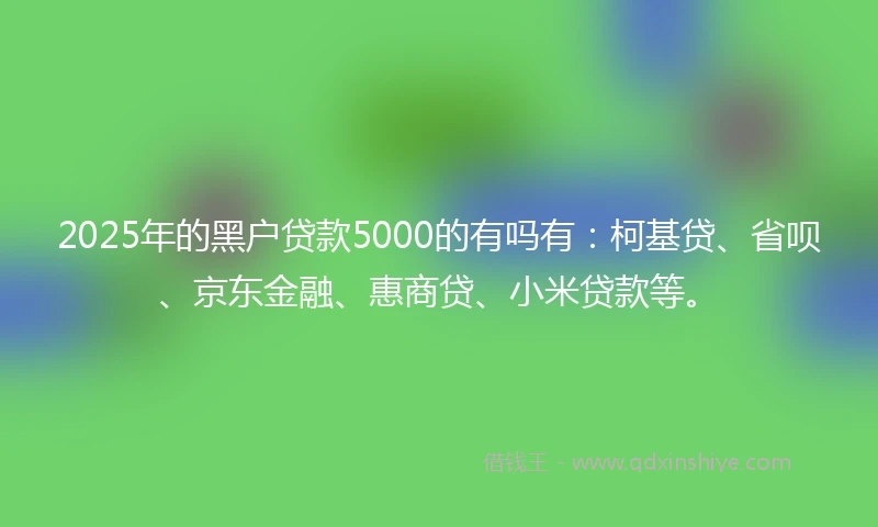 2025年的黑户贷款5000的有吗有:柯基贷、省呗、京东金融、惠商贷、小米贷款等。