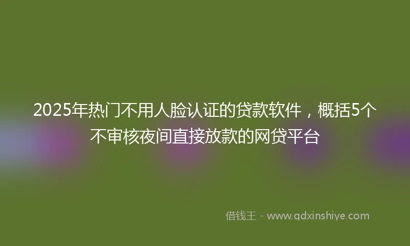 2025年热门不用人脸认证的贷款软件，概括5个不审核夜间直接放款的网贷平台