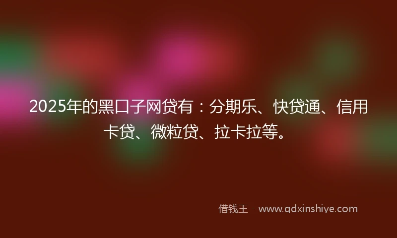 2025年的黑口子网贷有：分期乐、快贷通、信用卡贷、微粒贷、拉卡拉等。