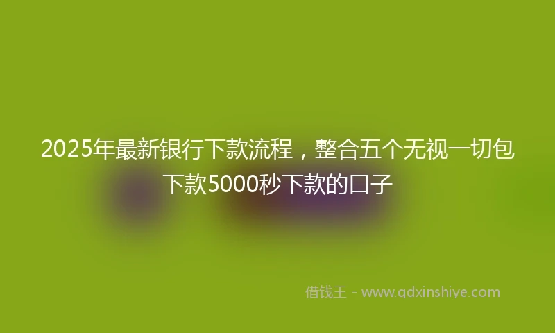 2025年最新银行下款流程，整合五个无视一切包下款5000秒下款的口子
