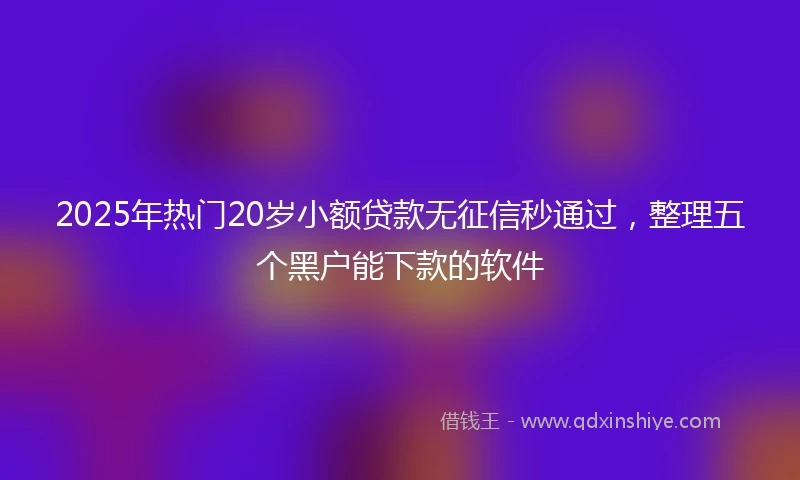 2025年热门20岁小额贷款无征信秒通过,整理五个黑户能下款的软件