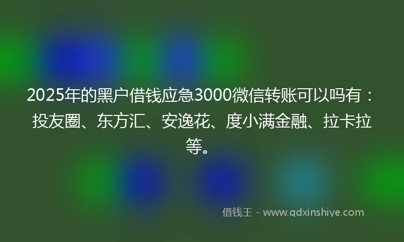 2025年的黑户借钱应急3000微信转账可以吗有：投友圈、东方汇、安逸花、度小满金融、拉卡拉等。