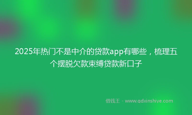 2025年热门不是中介的贷款app有哪些，梳理五个摆脱欠款束缚贷款新口子