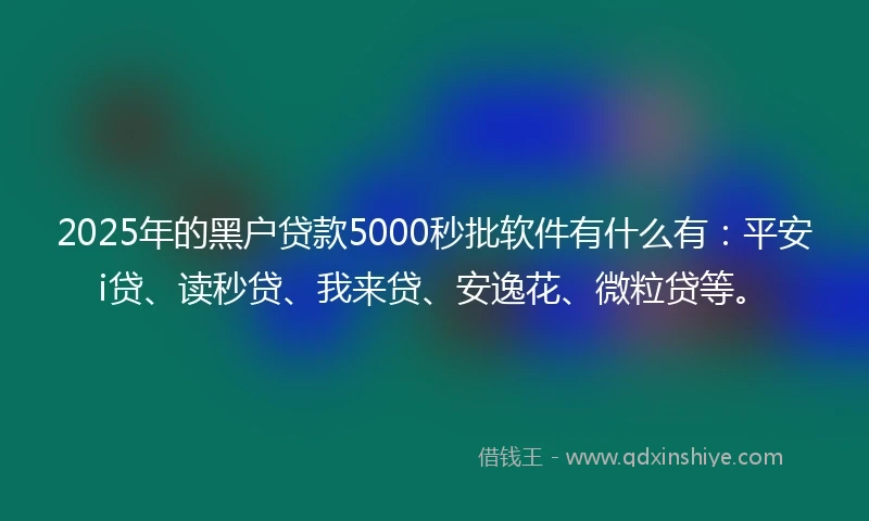 2025年的黑户贷款5000秒批软件有什么有：平安i贷、读秒贷、我来贷、安逸花、微粒贷等。