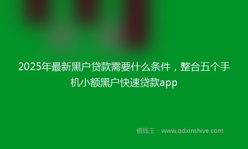2025年最新黑户贷款需要什么条件，整合五个手机小额黑户快速贷款app