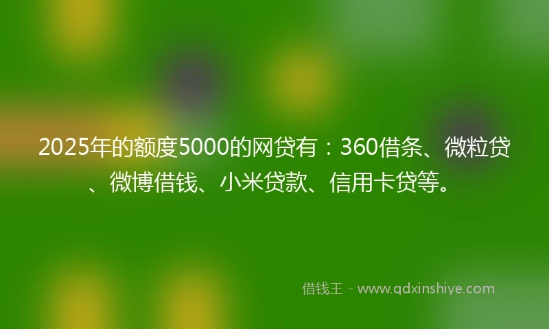 2025年的额度5000的网贷有：360借条、微粒贷、微博借钱、小米贷款、信用卡贷等。