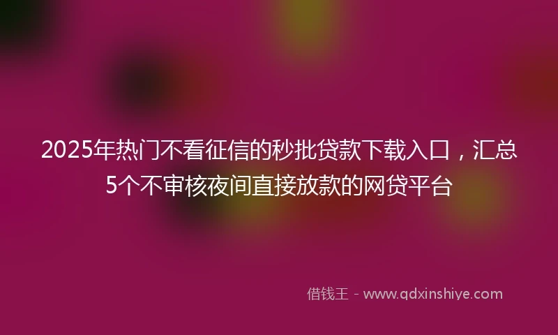 2025年热门不看征信的秒批贷款下载入口,汇总5个不审核夜间直接放款的网贷平台