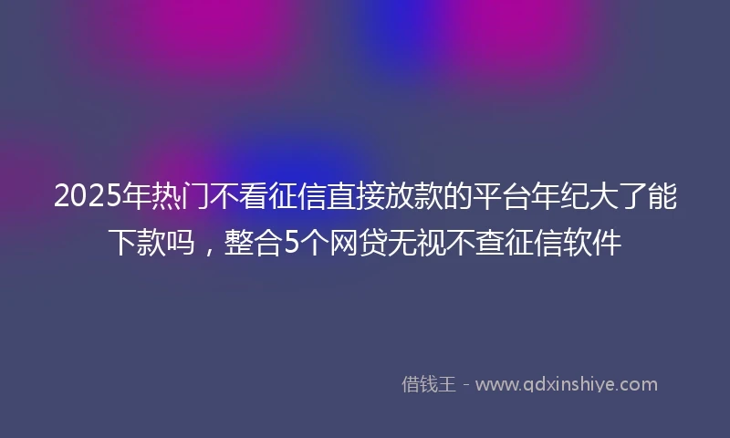 2025年热门不看征信直接放款的平台年纪大了能下款吗，整合5个网贷无视不查征信软件