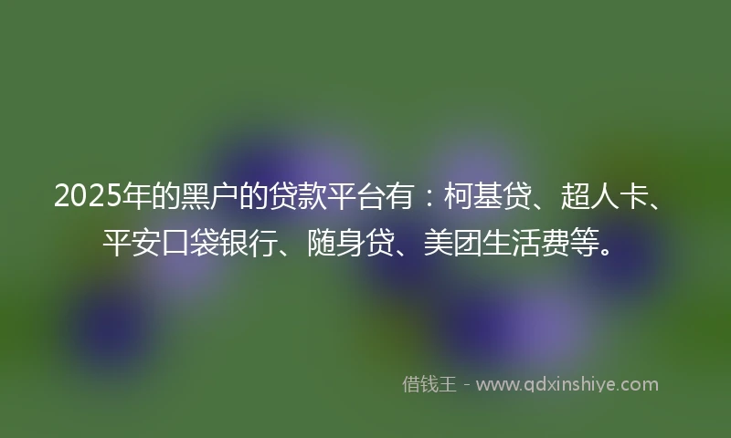 2025年的黑户的贷款平台有：柯基贷、超人卡、平安口袋银行、随身贷、美团生活费等。