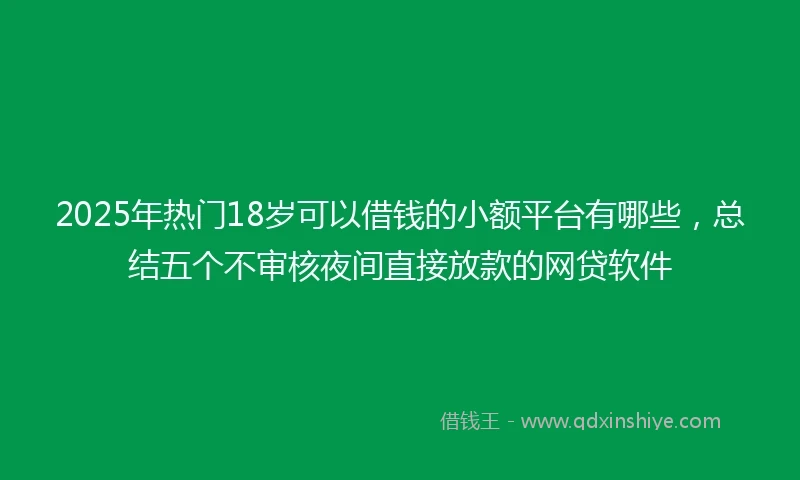 2025年热门18岁可以借钱的小额平台有哪些，总结五个不审核夜间直接放款的网贷软件