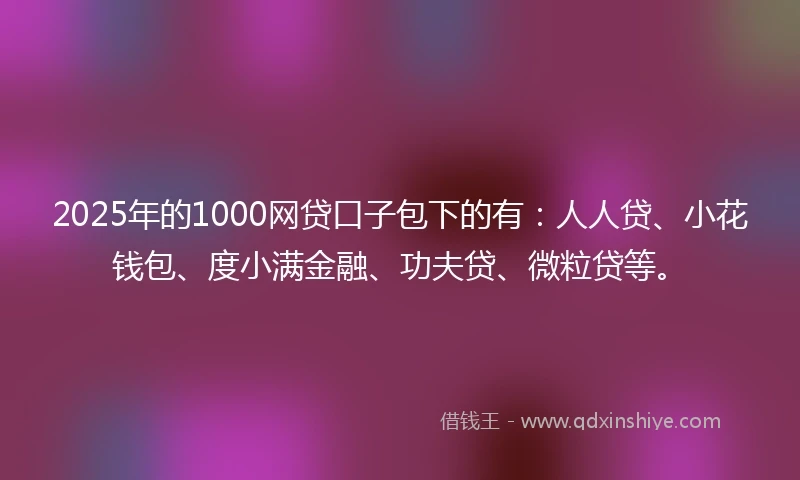 2025年的1000网贷口子包下的有：人人贷、小花钱包、度小满金融、功夫贷、微粒贷等。