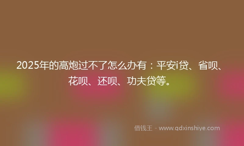 2025年的高炮过不了怎么办有：平安i贷、省呗、花呗、还呗、功夫贷等。