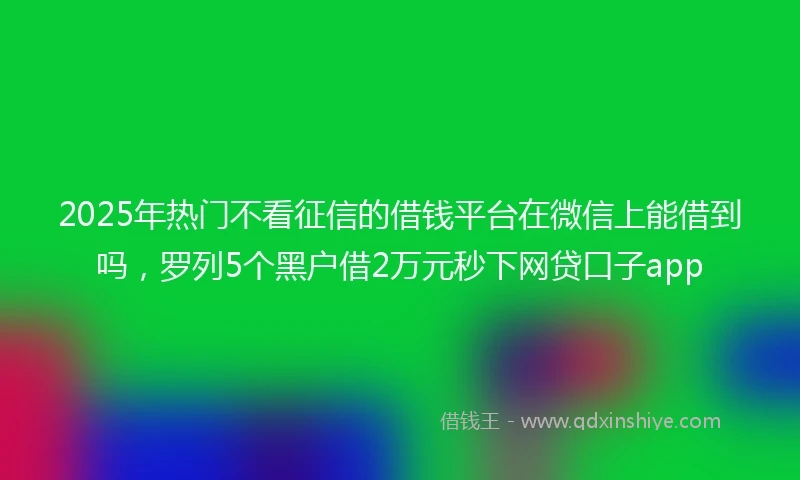 2025年热门不看征信的借钱平台在微信上能借到吗，罗列5个黑户借2万元秒下网贷口子app
