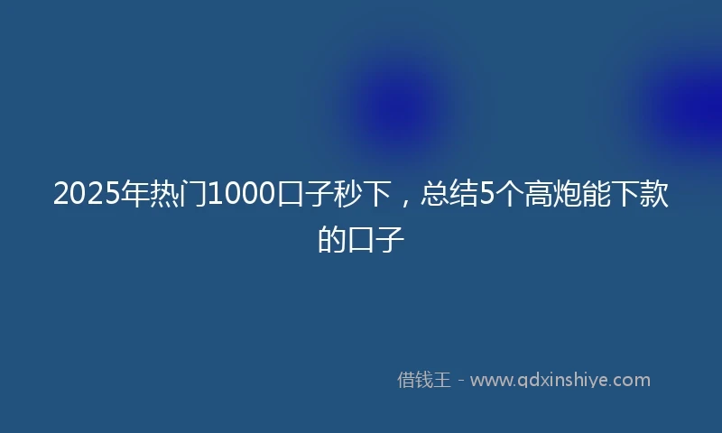 2025年热门1000口子秒下，总结5个高炮能下款的口子