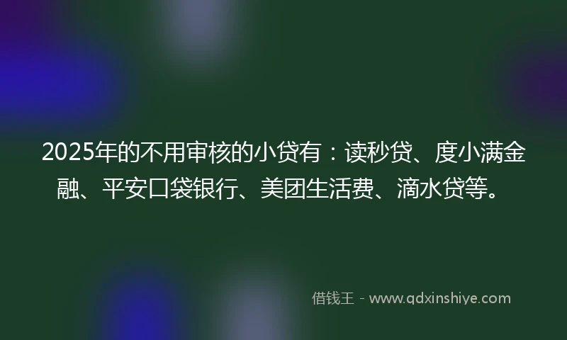 2025年的不用审核的小贷有:读秒贷、度小满金融、平安口袋银行、美团生活费、滴水贷等。