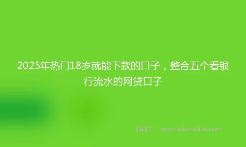 2025年热门18岁就能下款的口子，整合五个看银行流水的网贷口子
