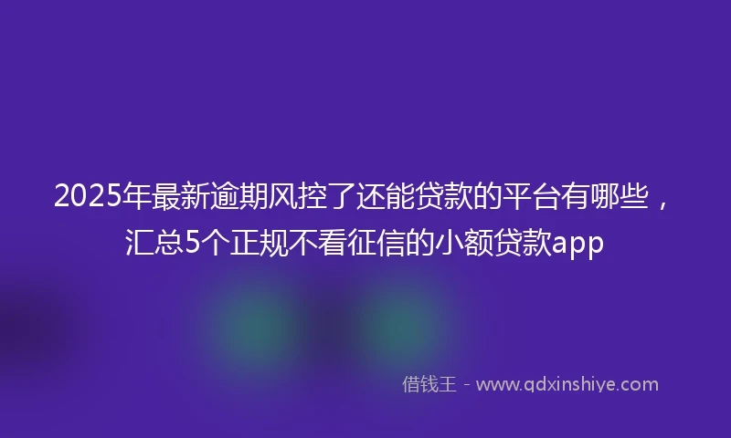 2025年最新逾期风控了还能贷款的平台有哪些，汇总5个正规不看征信的小额贷款app