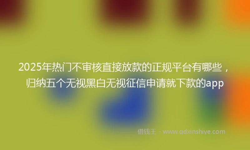 2025年热门不审核直接放款的正规平台有哪些，归纳五个无视黑白无视征信申请就下款的app