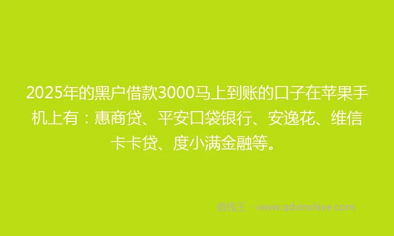 2025年的黑户借款3000马上到账的口子在苹果手机上有：惠商贷、平安口袋银行、安逸花、维信卡卡贷、度小满金融等。