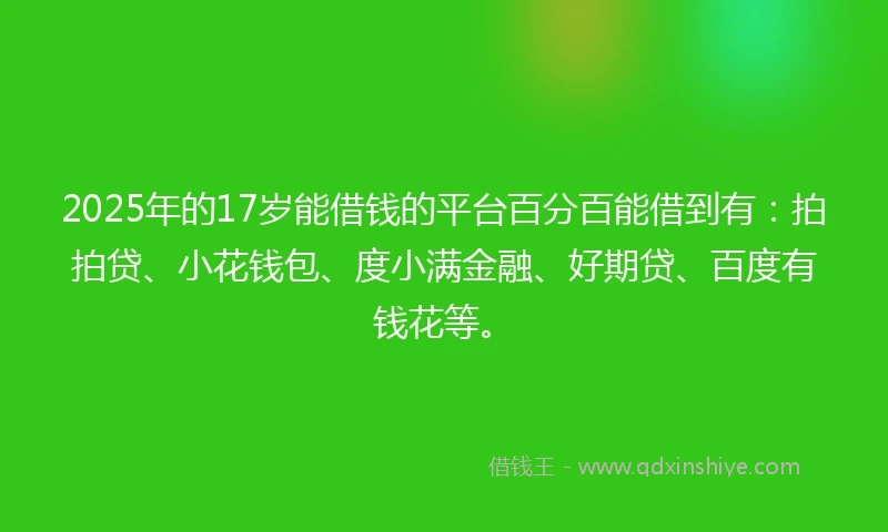2025年的17岁能借钱的平台百分百能借到有：拍拍贷、小花钱包、度小满金融、好期贷、百度有钱花等。