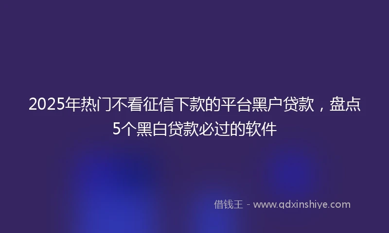 2025年热门不看征信下款的平台黑户贷款,盘点5个黑白贷款必过的软件