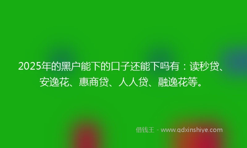 2025年的黑户能下的口子还能下吗有：读秒贷、安逸花、惠商贷、人人贷、融逸花等。