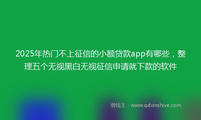 2025年热门不上征信的小额贷款app有哪些，整理五个无视黑白无视征信申请就下款的软件