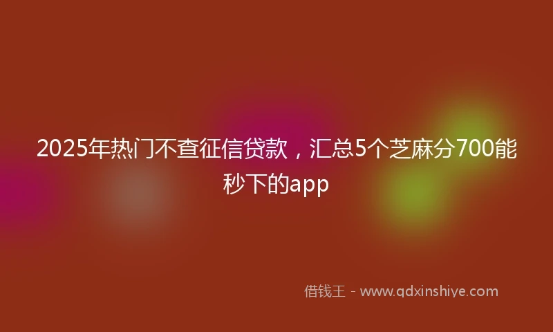 2025年热门不查征信贷款，汇总5个芝麻分700能秒下的app