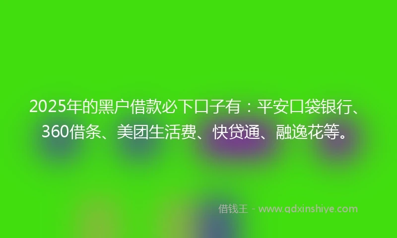 2025年的黑户借款必下口子有：平安口袋银行、360借条、美团生活费、快贷通、融逸花等。