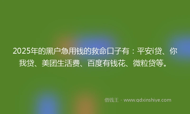 2025年的黑户急用钱的救命口子有：平安i贷、你我贷、美团生活费、百度有钱花、微粒贷等。