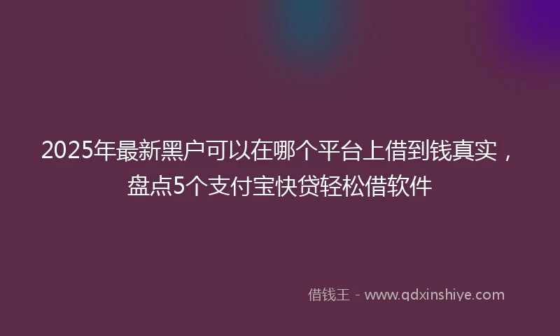 2025年最新黑户可以在哪个平台上借到钱真实，盘点5个支付宝快贷轻松借软件