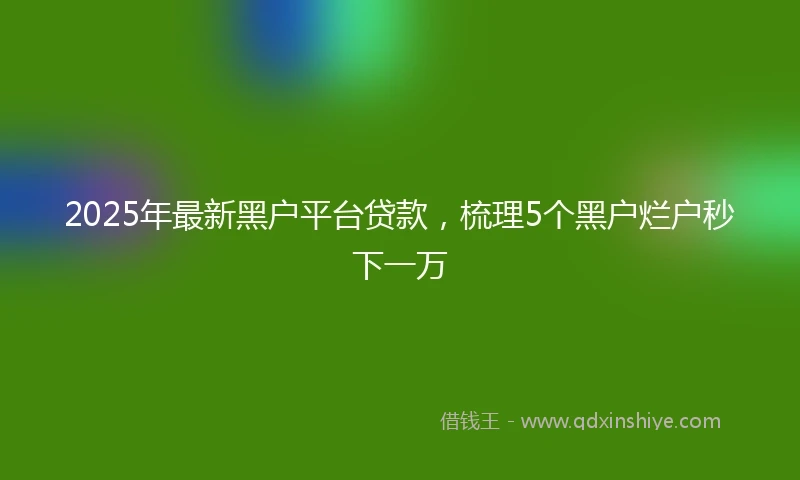 2025年最新黑户平台贷款,梳理5个黑户烂户秒下一万