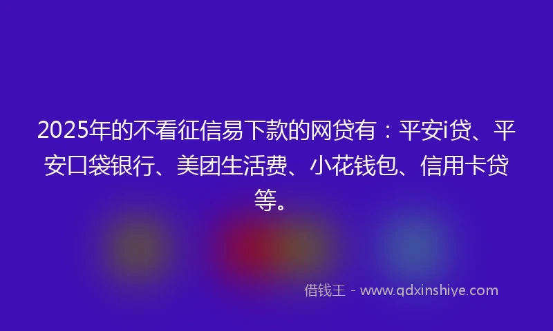2025年的不看征信易下款的网贷有：平安i贷、平安口袋银行、美团生活费、小花钱包、信用卡贷等。