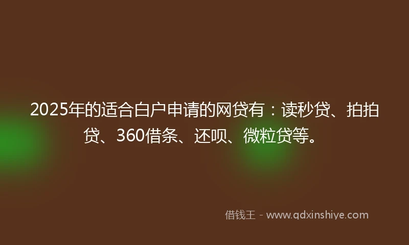 2025年的适合白户申请的网贷有：读秒贷、拍拍贷、360借条、还呗、微粒贷等。