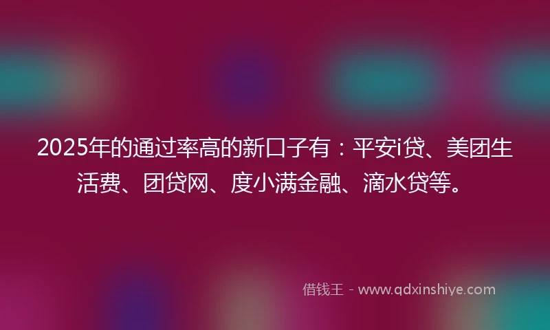 2025年的通过率高的新口子有：平安i贷、美团生活费、团贷网、度小满金融、滴水贷等。