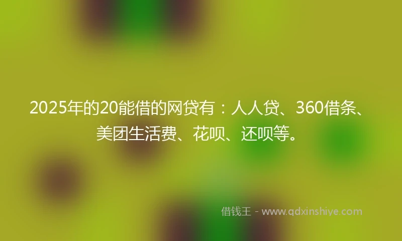 2025年的20能借的网贷有：人人贷、360借条、美团生活费、花呗、还呗等。